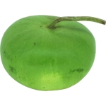 Plate de Corse